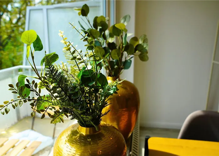 Dordy - - Balkon - Kueche -waschmaschine Bremen